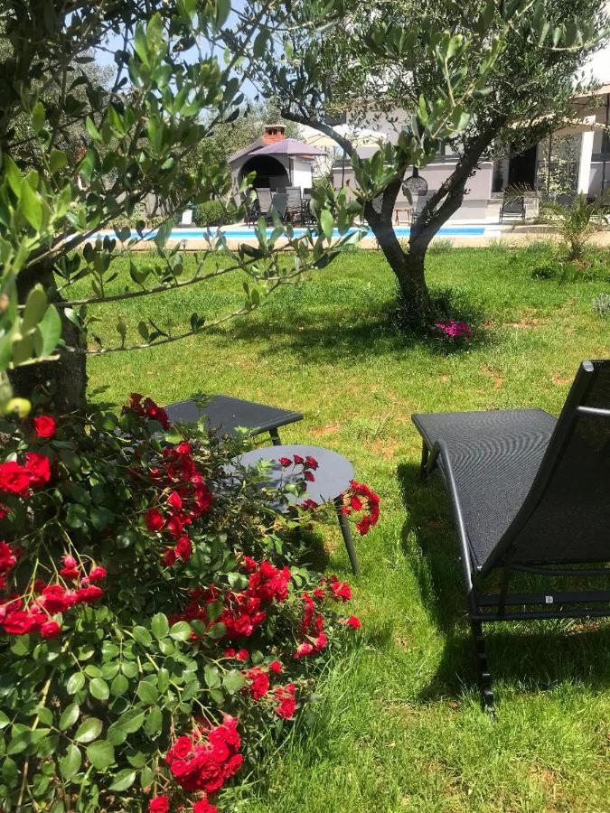 Petar's Dream Privlaka (Zadar)